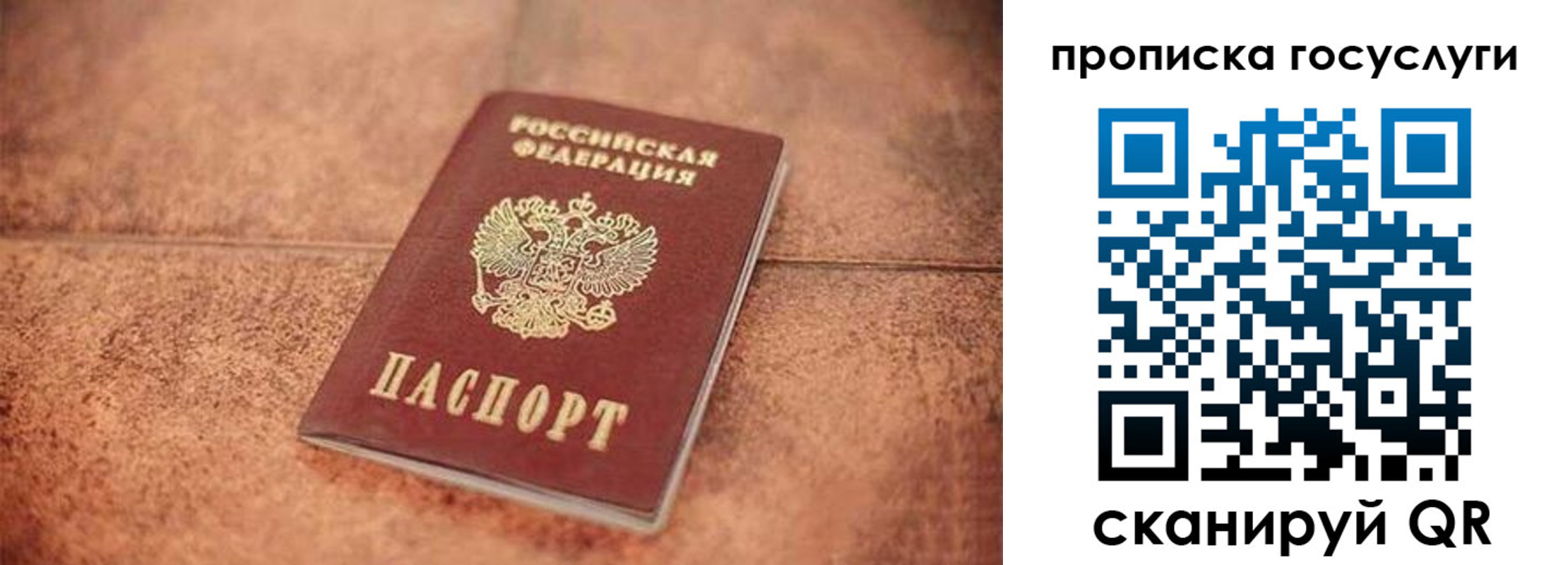 прописка законно в Юрьев-Польском